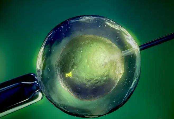 石嘴山有哪些代孕机构,滁州试管流程