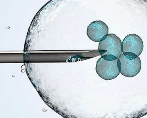 供卵生殖中心网站_供卵三代选男孩,2026
天津公立医院供卵试管费用明细公开！