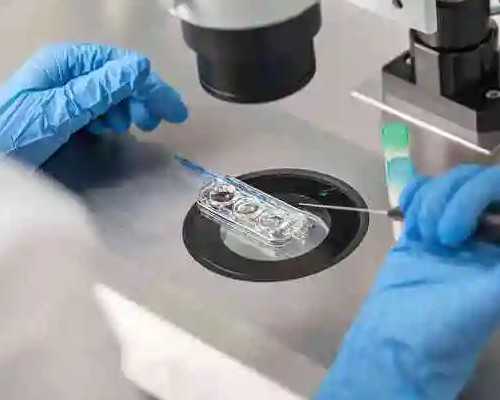 供卵助孕公司_供卵试管靠谱吗,【昆华医院供卵试管婴儿做供卵怎么做最快】