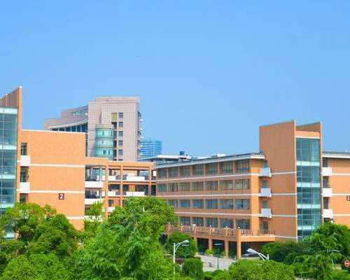 广州找女人代孕电话,广州两公司违法宣传海外代孕生子被查_iphone6s拍照黄