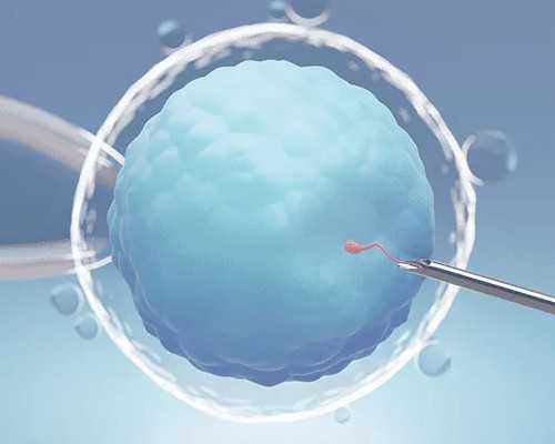 大连失独代孕-胚胎移植