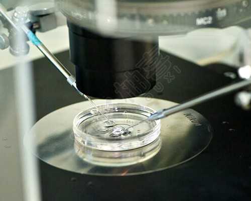 深圳助孕价格,深圳代生男孩,深圳代生妈妈-试管代孕服务公司_靠谱代孕套餐