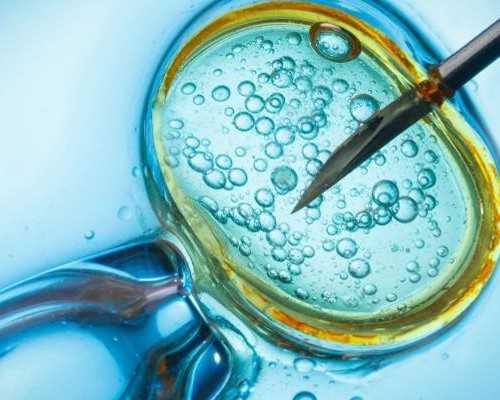 哪里有供卵的_金贝供卵价格,2026年珠海市供卵试管助孕医院排名汇总，内附试管