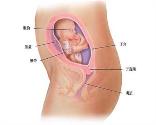 哪里找代孕生子的_良好环境是对宝宝有益的胎教