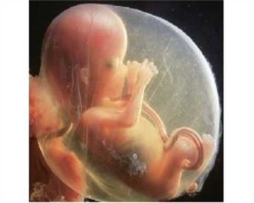 代孕一次多少钱_孕育聪明宝宝如何胎教？
