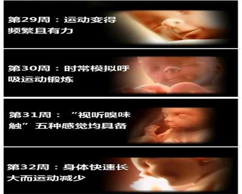 西安代孕产子微信群:孕前孕期防出生缺陷的十大法