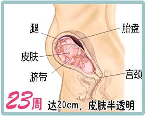 西安代怀小孩哪家优惠:月经周期正常不孕的原因