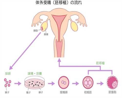 西安代孕总部在哪:代孕期，注意这四个时间段，宝宝才会健康发育