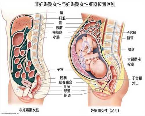 做代孕过程是怎样_婴儿体温多少度正常