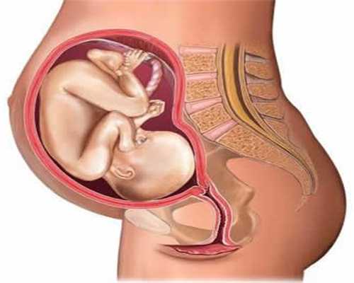 哪些国家可以代孕_排卵期肚子疼会影响怀孕吗