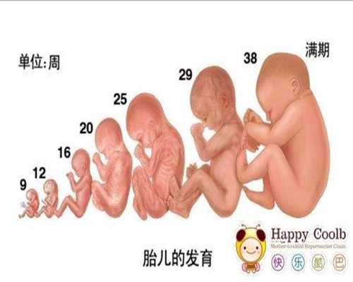 代孕2020价目表_八个月宝宝肌张力高