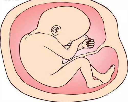 2020年代怀孕价格表_哺乳期怀孕宝宝吃奶会拉肚子吗
