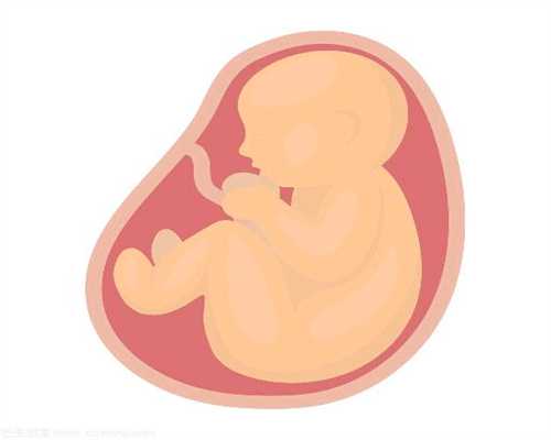 西安代孕医生:代孕妈妈吃什么安胎补肾