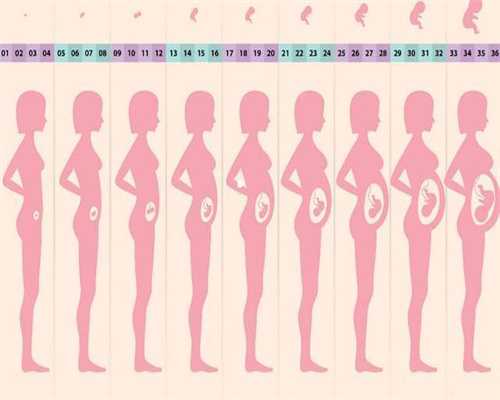 西安专业代怀孕包性别:孕期中度贫血怎么办