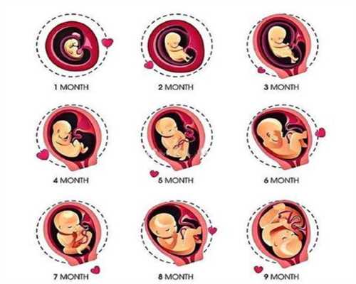 西安代孕产子的过程和方式:怎样让宝宝提前顺产